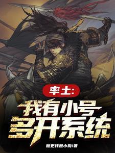 率土:我有小号多开系统