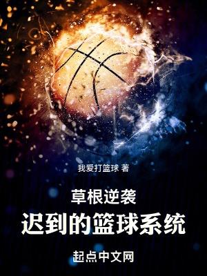 草根逆袭:迟到的篮球系统