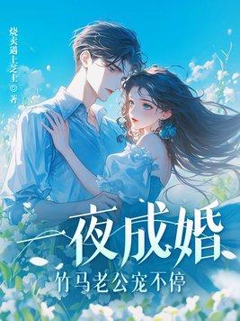 一夜成婚,竹马老公宠不停!