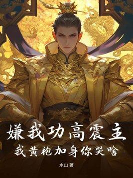 嫌我功高震主,我黄袍加身你哭啥?