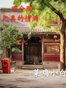 速通四合院,浪翻全世界