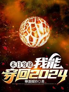 末日穷途:我能穿回2024