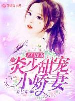 名门掠爱:炎少甜宠小娇妻