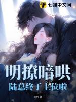 明撩暗哄,陆总终于上位啦