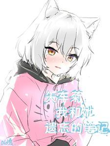 矢车菊,我和她遗忘的笔记