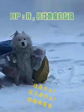 HP:我,捡伏地魔的垃圾