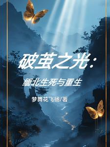 破茧之光:缅北生死与重生