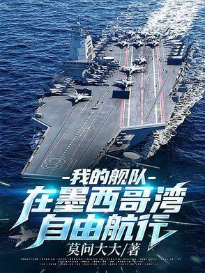 我的舰队,在墨西哥湾自由航行