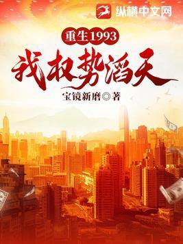 重生1993:我权势滔天