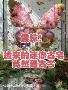 震惊!捡来的迷你古宅竟然通古今