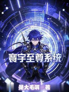 寰宇至尊系统