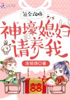 氪金攻略:神壕媳妇请养我