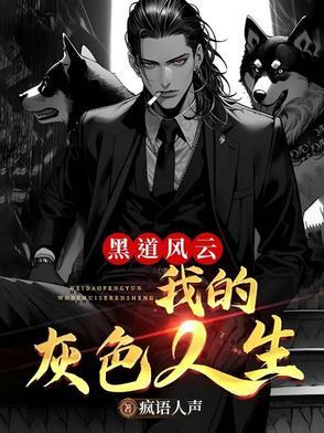 黑道风云之我的灰色人生