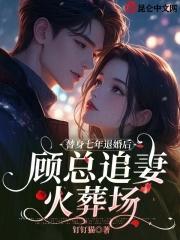 替身七年退婚后,顾总追妻火葬场