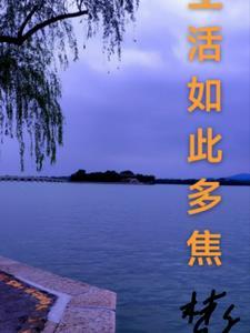 生活如此多焦