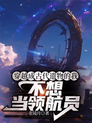 穿越成古代遗物的我不想当领航员
