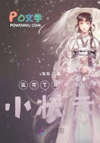 被榜下捉婿的小状元