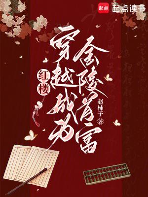 红楼:穿越成为金陵首富