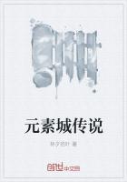 元素城传说
