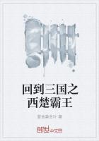 回到三国之西楚霸王