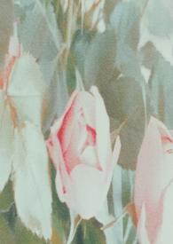 谁去拯救谁？【百合 】