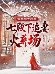 重生后去和亲,七殿下追妻火葬场