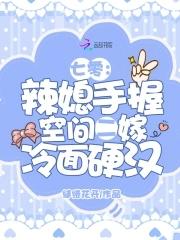七零：辣媳手握空间二嫁冷面硬汉