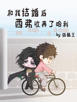 和我结婚后,西弗收养了哈利