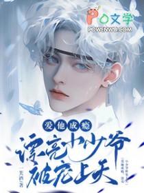 爱他成瘾，漂亮小少爷被宠上天