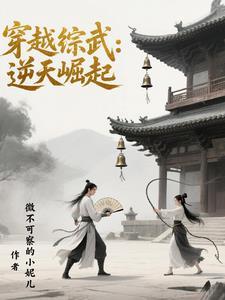 穿越综武:逆天崛起