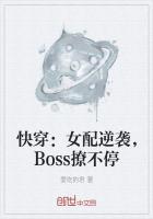 快穿:女配逆袭,Boss撩不停