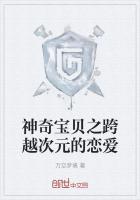 神奇宝贝之跨越次元的恋爱