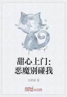 甜心上门:恶魔别碰我