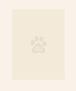 世子凶猛：谁敢和我抢女人？