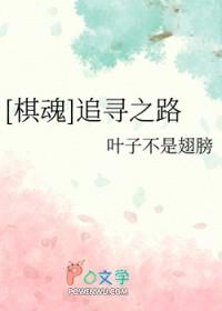 [棋魂] 追寻之路