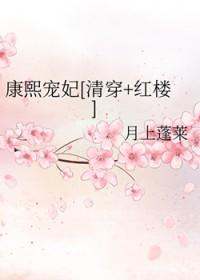 康熙宠妃[清穿+红楼]