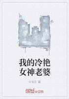 我的冷艳女神老婆