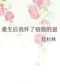 重生后我怀了宿敌的崽