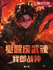 觉醒废武魂，我即战神