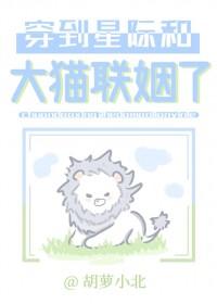穿到星际和大猫联姻了