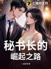 秘书长的崛起之路