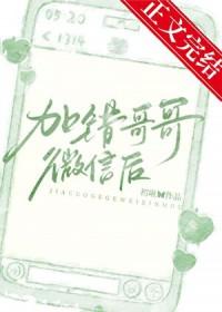 加错哥哥微信后