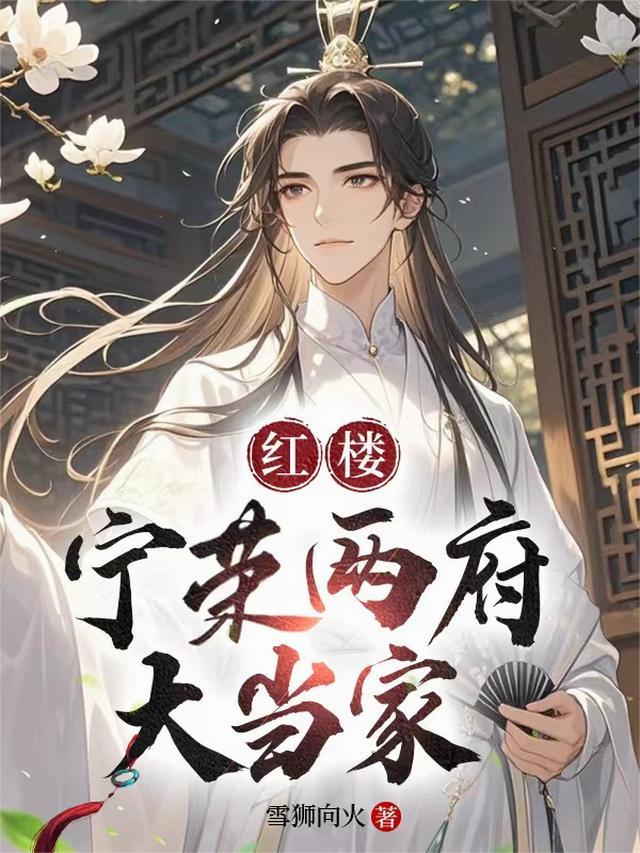 红楼:宁荣两府大当家