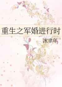 重生之军婚进行时