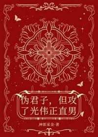 伪君子，但攻了光伟正直男