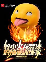 教小火龙焚决的抽象训练家