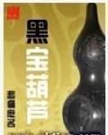 黑宝葫芦