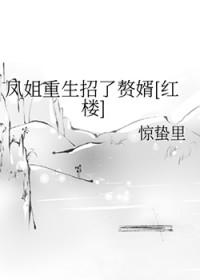 [红楼梦同人] 凤姐重生招了赘婿