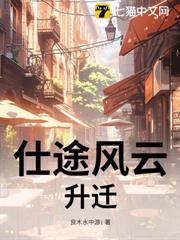 仕途风云：升迁