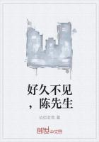 好久不见,陈先生